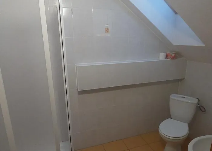 Stare Sedlo Πανσιόν Bor